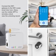 BOT Gateway/Bridge WiFi Box 3