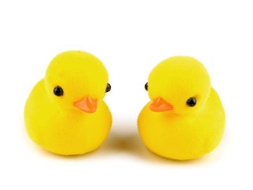 Polistirenska račka za nadaljnje oblikovanje in okraševanje - rumena (10 kosov)