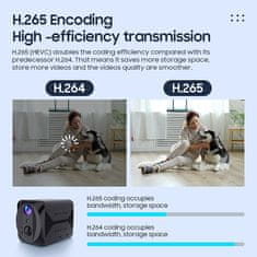 Viking S309 4G/1080P mini kamera/nočni vid/senzor gibanja/2500mAh/mobilna aplikacija