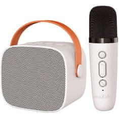 Forever MAXLIFE MXKS-100 BT karaoke set white