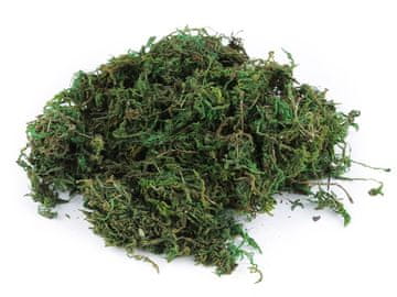 Okrasni naravni mah 250 g - zeleni
