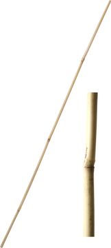 Bambusova palica 210 cm debeline 24-26 mm - 5 kosov