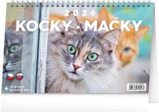 Namizni koledar Mačke - Mačke CZ/SK 2026