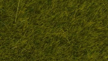 Noch Statična trava divji travnik 6 mm