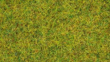 Statična trava Poletni travnik 2,5 mm