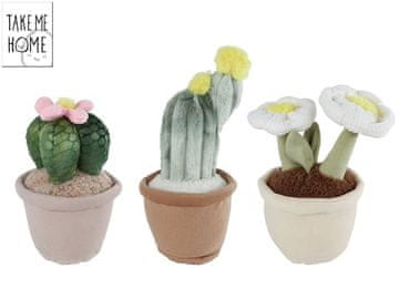 Take Me Home Plišaste sobne rastline 18-25 cm