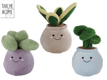 Take Me Home Plišaste sobne rastline 18-22 cm