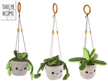Take Me Home Plišaste sobne rastline 20 cm za obešanje