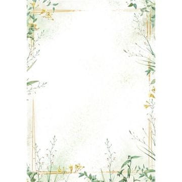 Diploma A4 - travniški motiv, 100 g /m2, 50 kosov