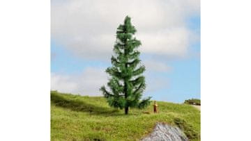 Smreka Noch 15 cm