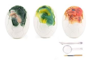 Dinozaver v izkopu jajca 11 cm