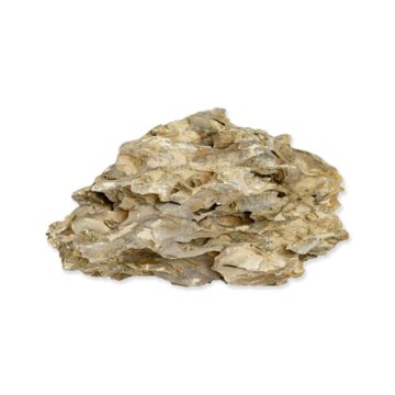 Okrasitev Rataj kamen Dragon rock S <1kg, 5-15cm