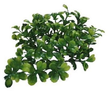 Lucky Reptile Turtle Rastline Bacopa pribl. 40 cm