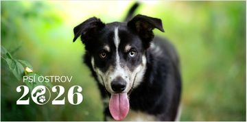 Dobrodelni koledar Psí otok 2026