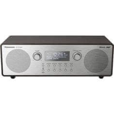Panasonic Radio RF D100BTEGT