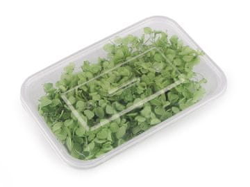 Posušene / stabilizirane hortenzije za suhe in mokre aranžmaje - zelena trava