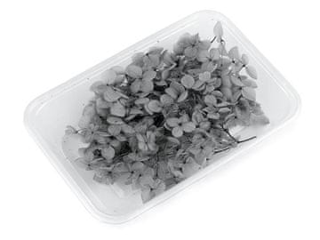 Posušene / stabilizirane hortenzije za suhe in mokre aranžmaje - svetlo siva