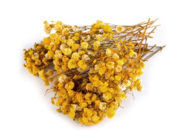 Posušena / stabilizirana poročna tančica za suho in mokro aranžiranje - rumena škatla