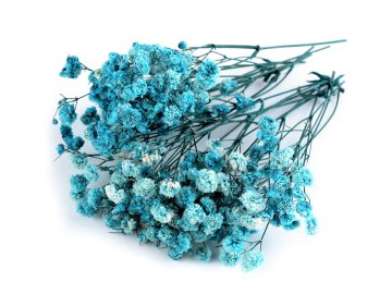 Posušena / stabilizirana poročna tančica za suho in mokro aranžiranje - turkizno modra škatla