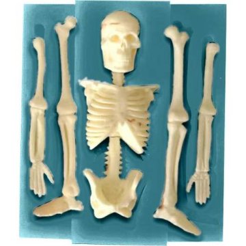 Silikonski model 11x9,5cm - skelet - Cakesicq