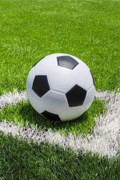 Jerry Fabrics Odejo iz flisa Nogomet Poliester, 100/150 cm