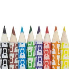 Teribear, komplet 8 barvic v papirnati tubi