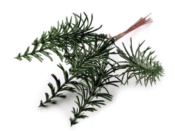 Božični venček na žici - zelen (6 kosov)