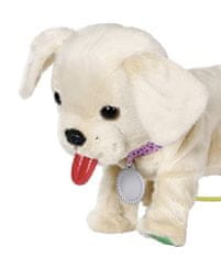 Zapf Baby Born My Jolly Dog s škatlo za nošenje