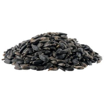 Sončnica črna Jumbo 5kg