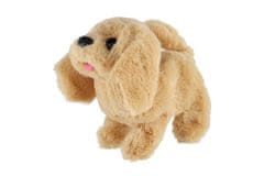 Teddies Pes, ki hodi in laja, plišast/plasten 18 cm na baterije 4 vrste