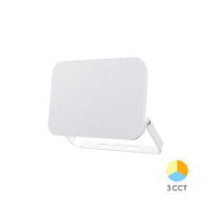 BRAYTRON FLOOD WF reflektor LED 10W CCT IP65 bel
