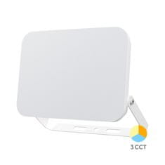BRAYTRON FLOOD WF reflektor LED 100W CCT IP65 bel