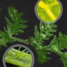 sarcia.eu Otroški izobraževalni mikroskop 1200x, znanstveni komplet z dodatki za otroke, LED