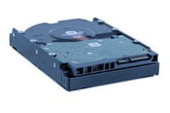 WD Trdi disk WD Red Plus 8TB SATA WD80EFPX
