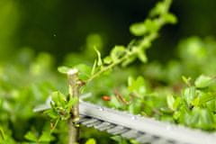 BOSCH Professional akumulatorske škarje za živo mejo GHE18V-50FP Solo (06008D5100)