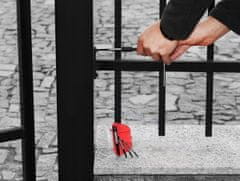 BIGSTREN 5 delni odstranjevalec poškodovanih vijakov 1