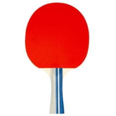 Avento Kompletni set za namizni tenis 1 komplet