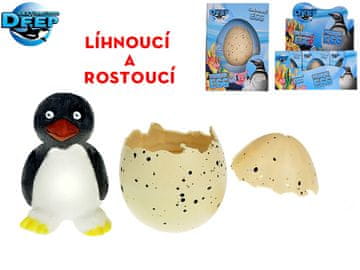 Destinacija Globoki pingvin se izvali in raste v jajcu 6 cm