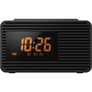 Panasonic Radio RC 800EG-K