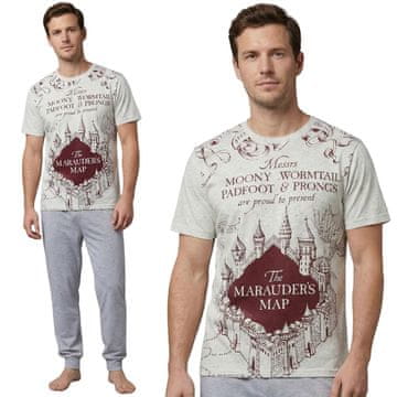 sarcia.eu Harry Potter Siva bombažna moška pižama z dolgimi hlačami, v darilni škatli