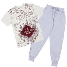 sarcia.eu Harry Potter Siva bombažna moška pižama z dolgimi hlačami, v darilni škatli XS