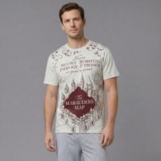 sarcia.eu Harry Potter Siva bombažna moška pižama z dolgimi hlačami, v darilni škatli XS