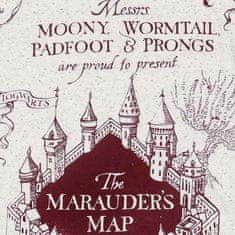 sarcia.eu Harry Potter Siva bombažna moška pižama z dolgimi hlačami, v darilni škatli XS