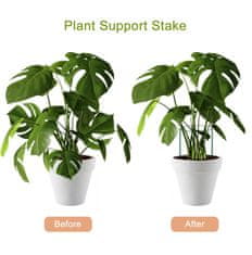 Nikcorp Vrtne opore za rastline s kovinskim obročem, višina 40 cm, 8 kosov in 20 vezi za fiksiranje, zelene barve