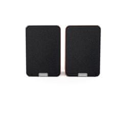 AIWA aktivni Hi-FI zvočniki ASP-A200BR (2 x 25 W)