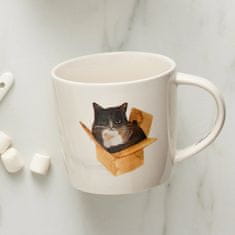 Maxwell & Williams Lonček Feline Friends Cat In A Box 400ml / M. Martin / porcelan