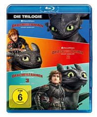 shumee Blu-ray disk Kako izuriti svojega zmaja