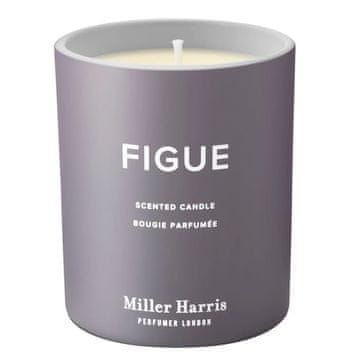 shumee Dišeča sveča Figue 220 g