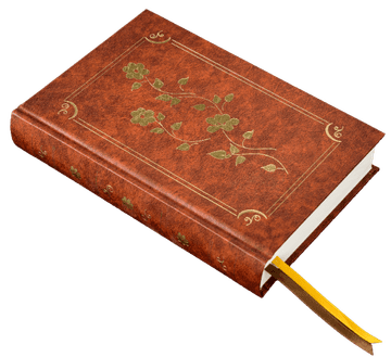 shumee Zvezek dnevnik "Zlati trenutki" 350 praznih strani A5, šivan pozlačen svetlo rjav