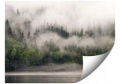 shumee FOTO TAPETE 01-FOREST_WE_FOG ZA SPALNICO DNEVNA SOBA TAPETE 150x105